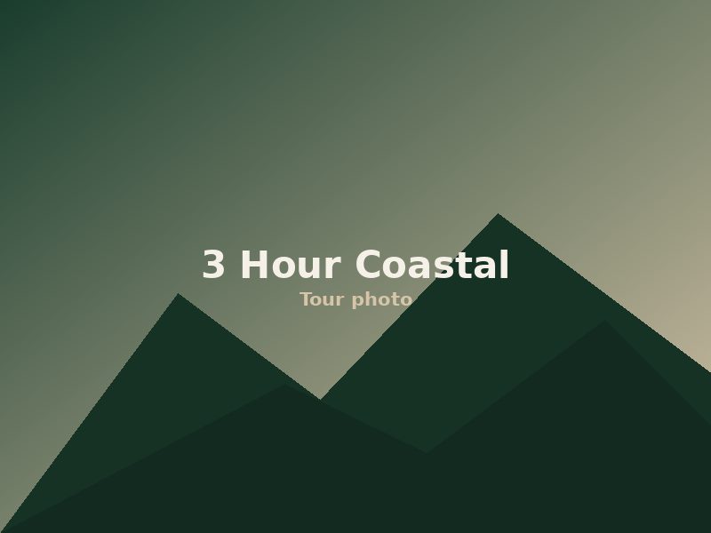 Private 3 Hour Park Loop and Somes Sound Tour